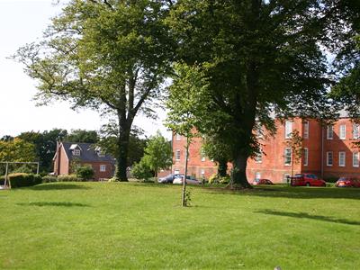Picture 2